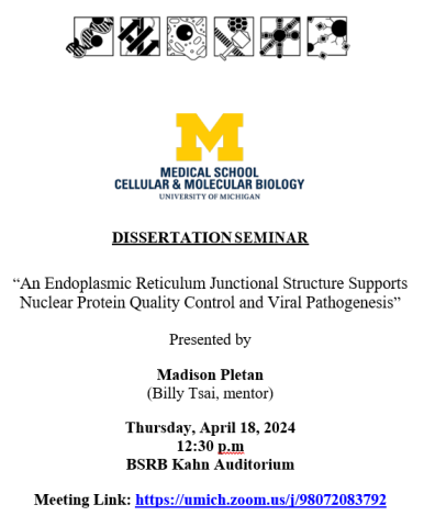 thesis dissertation umich